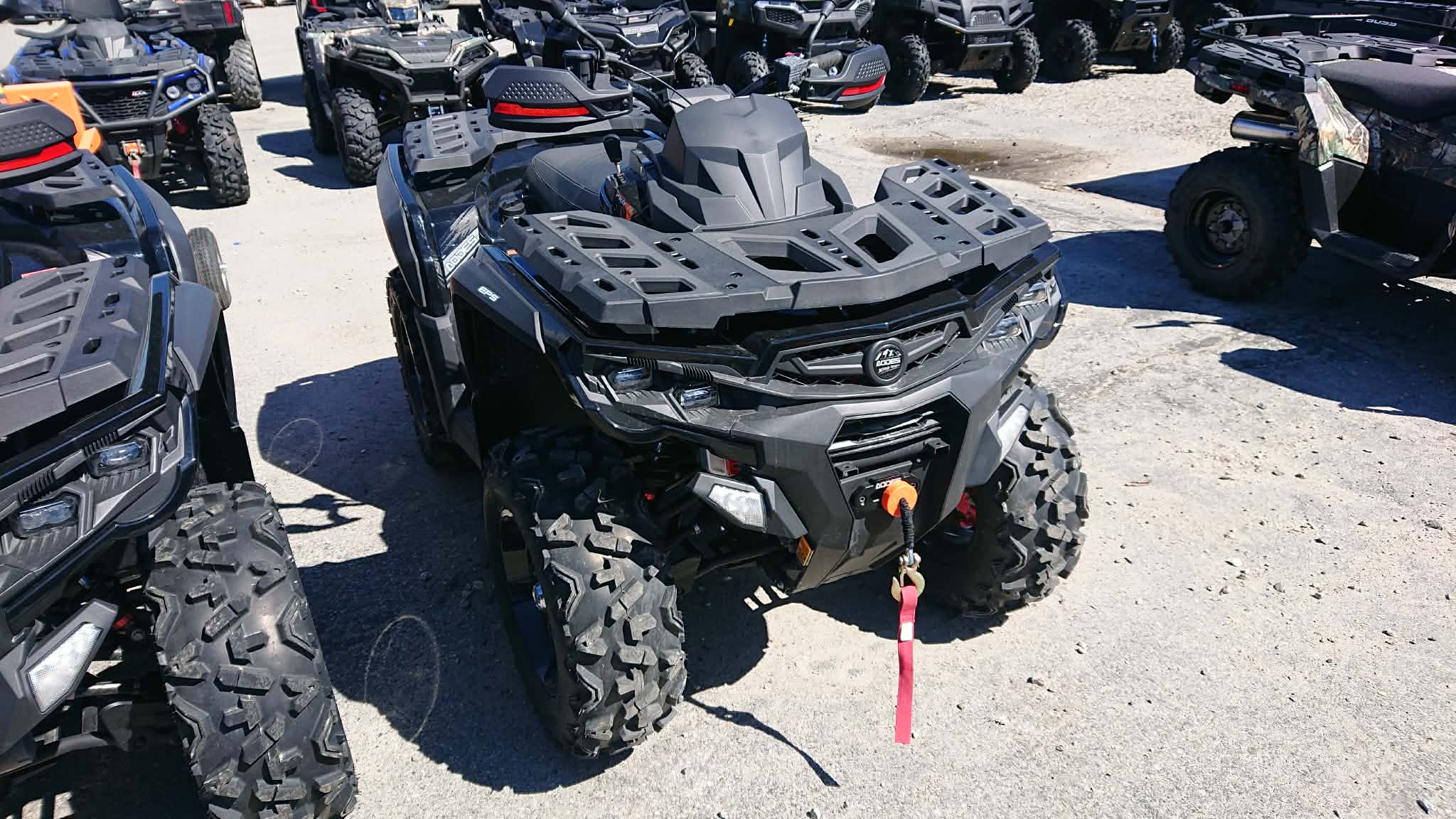 AODES PATHCROSS 650 S 2025