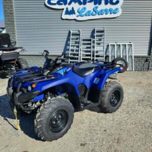 KODIAK 450 EPS