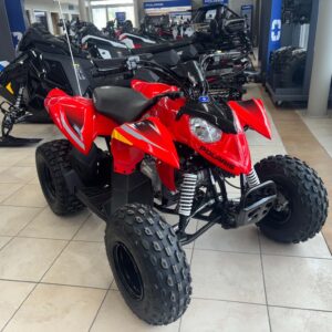 POLARIS OUTLAW 110 EFI 2027